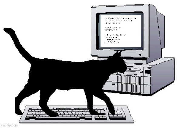 Cat on keys | image tagged in cat on keys | made w/ Imgflip meme maker