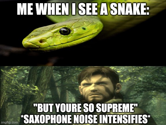 Edited version | ME WHEN I SEE A SNAKE:; "BUT YOURE SO SUPREME" *SAXOPHONE NOISE INTENSIFIES* | image tagged in metal gear solid | made w/ Imgflip meme maker