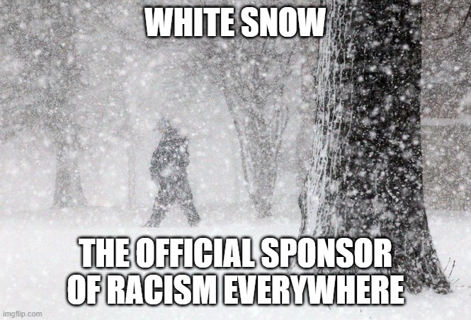snow ain't it great!! LOL | WHITE SNOW; THE OFFICIAL SPONSOR OF RACISM EVERYWHERE | image tagged in snowstorm,racism,democrats,snow | made w/ Imgflip meme maker
