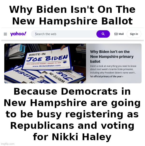 Why Biden Isn't On The New Hampshire Ballot | image tagged in joe biden,influence peddling,ice cream,nikki haley,boeing,stock | made w/ Imgflip meme maker