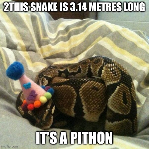 Pithon | 2THIS SNAKE IS 3.14 METRES LONG; IT’S A PITHON | image tagged in birthday snake,python | made w/ Imgflip meme maker