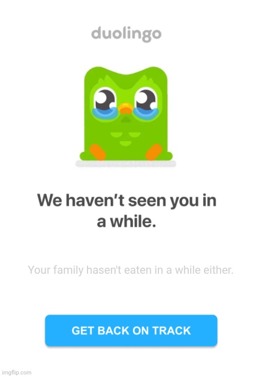 Your family hasen't eaten 2019 version | Your family hasen't eaten in a while either. | image tagged in duolingo,family,meme | made w/ Imgflip meme maker