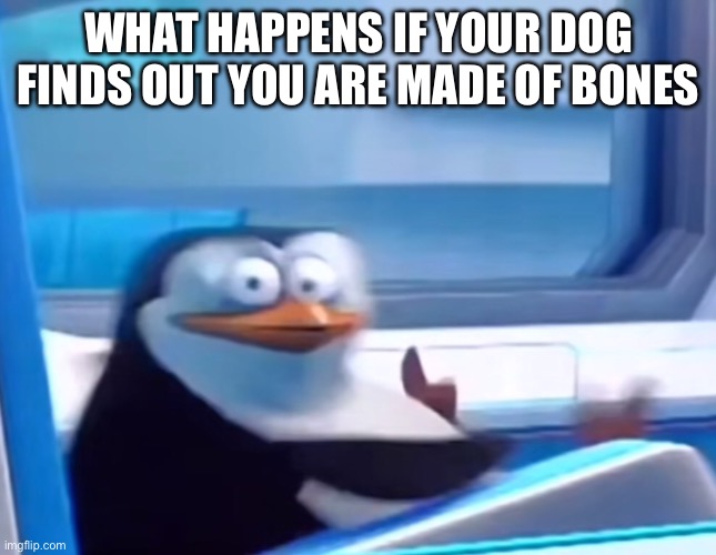 uhoh | WHAT HAPPENS IF YOUR DOG FINDS OUT YOU ARE MADE OF BONES | image tagged in uh oh | made w/ Imgflip meme maker