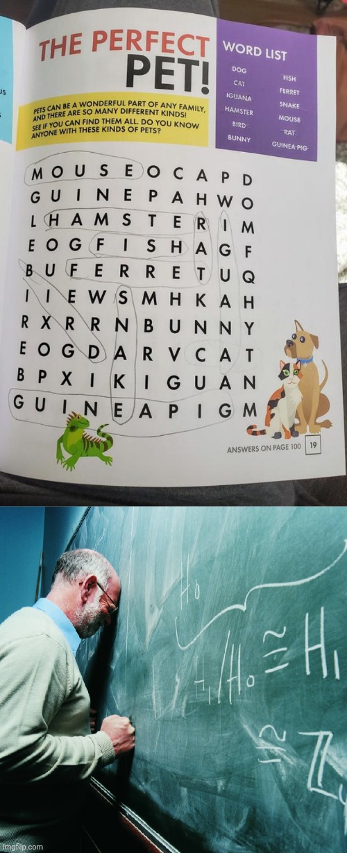 Mildly infuriating word search | image tagged in frustrated teacher,you had one job,memes,word search,words,mildly infuriating | made w/ Imgflip meme maker