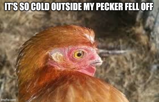 Cold Outside | IT'S SO COLD OUTSIDE MY PECKER FELL OFF | image tagged in freezing cold,cold weather | made w/ Imgflip meme maker