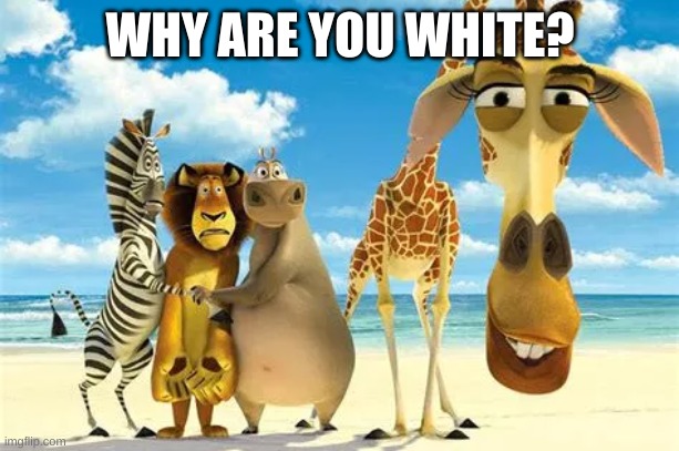 Why are you white | WHY ARE YOU WHITE? | image tagged in why are you white | made w/ Imgflip meme maker