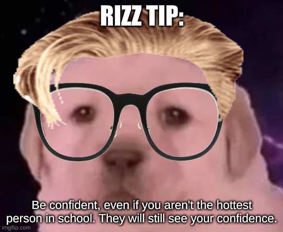 uncomfortable rizz tips pt 6 | RIZZ TIP:; Be confident, even if you aren't the hottest person in school. They will still see your confidence. | image tagged in sp3x_ puppers,uncomfortable rizz tips | made w/ Imgflip meme maker