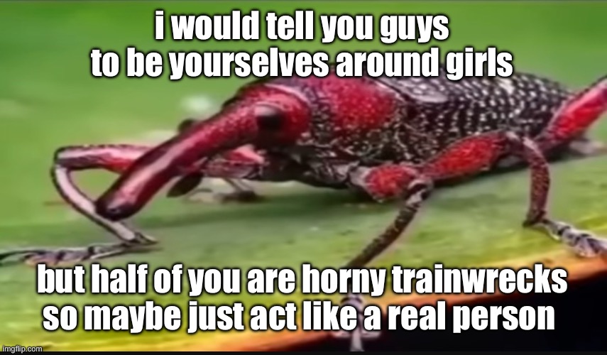 bug | i would tell you guys to be yourselves around girls; but half of you are horny trainwrecks so maybe just act like a real person | image tagged in bug | made w/ Imgflip meme maker