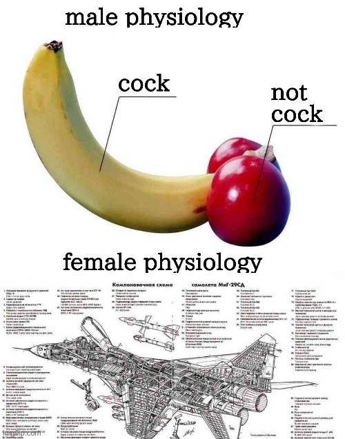 my pussy is a jet engine | made w/ Imgflip meme maker