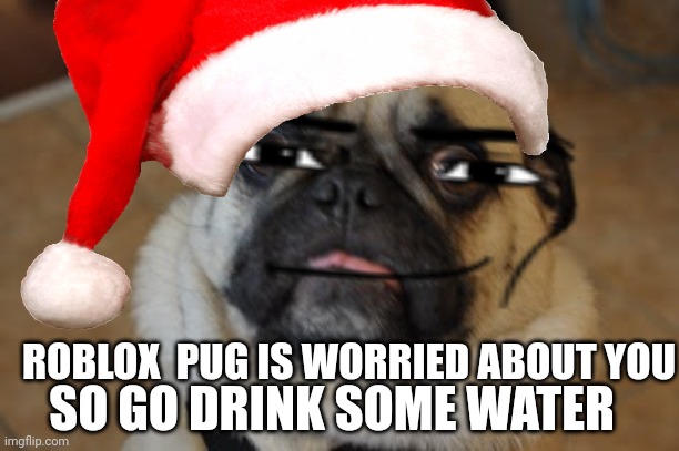 Pug worried | SO GO DRINK SOME WATER; ROBLOX  PUG IS WORRIED ABOUT YOU | image tagged in pug worried | made w/ Imgflip meme maker