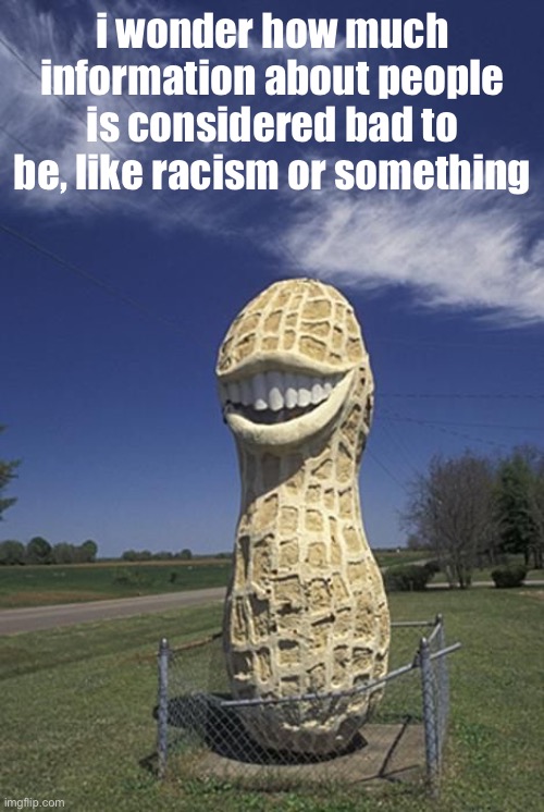 nut | i wonder how much information about people is considered bad to be, like racism or something | image tagged in nut | made w/ Imgflip meme maker