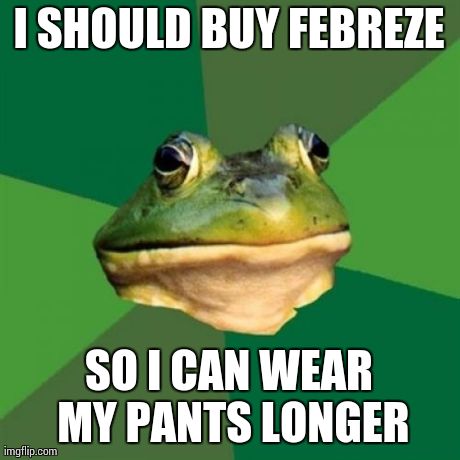 Foul Bachelor Frog Meme | I SHOULD BUY FEBREZE SO I CAN WEAR MY PANTS LONGER | image tagged in memes,foul bachelor frog | made w/ Imgflip meme maker