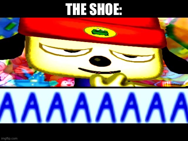 AAAAAAAA | THE SHOE: | image tagged in aaaaaaaa | made w/ Imgflip meme maker