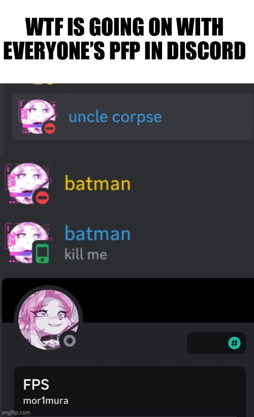 I should put it on my pfp | WTF IS GOING ON WITH EVERYONE’S PFP IN DISCORD | made w/ Imgflip meme maker