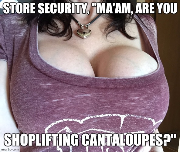 Awesome Tits | STORE SECURITY, "MA'AM, ARE YOU; SHOPLIFTING CANTALOUPES?" | image tagged in awesome tits | made w/ Imgflip meme maker