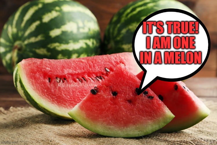 Watermelon | IT'S TRUE!
I AM ONE
IN A MELON | image tagged in watermelon | made w/ Imgflip meme maker