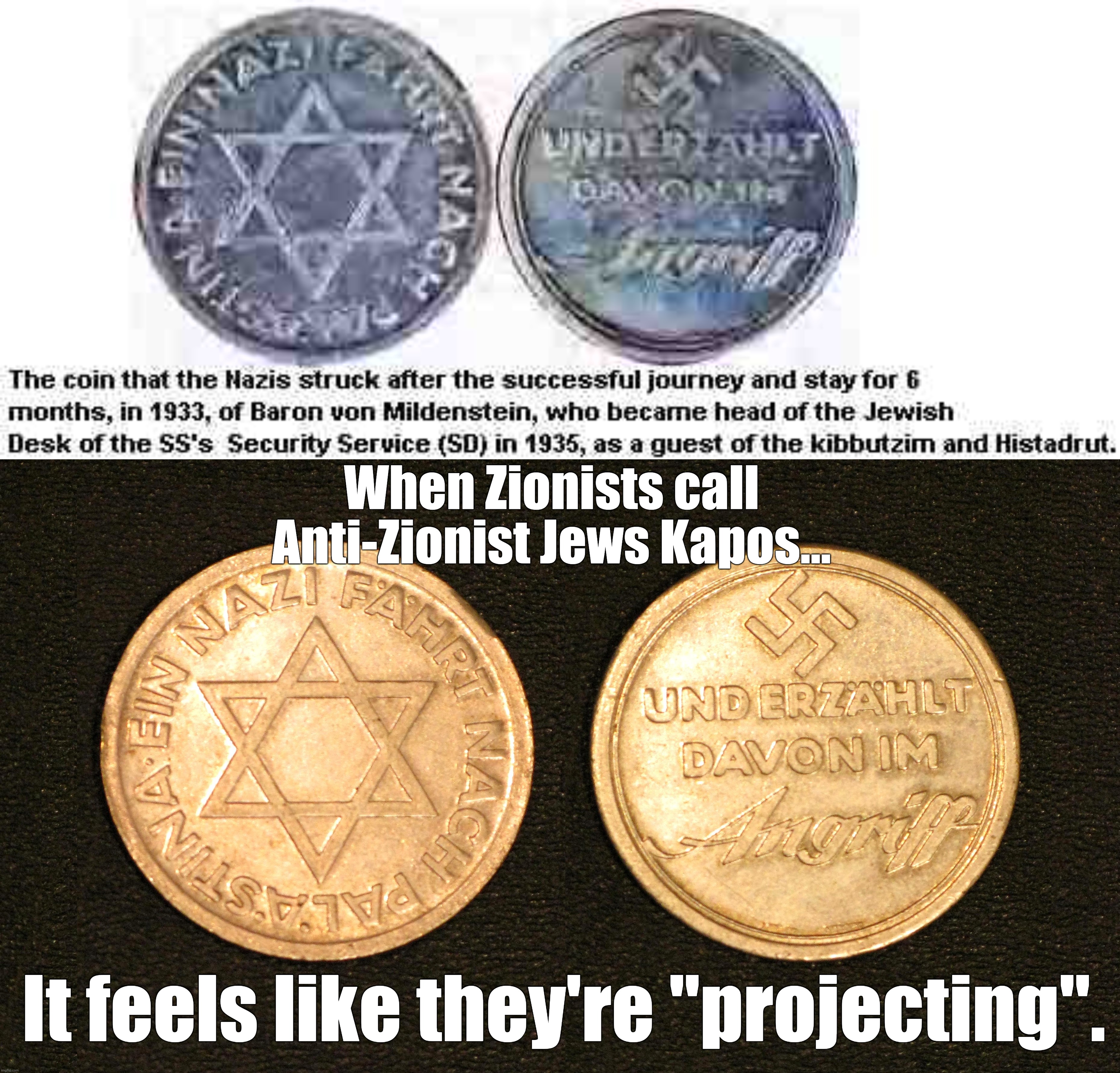 When Zionists call Anti-Zionist Jews Kapos... It feels like they're "projecting". | made w/ Imgflip meme maker