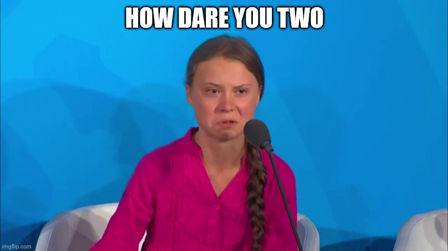 You two | HOW DARE YOU TWO | image tagged in how dare you - greta thunberg | made w/ Imgflip meme maker