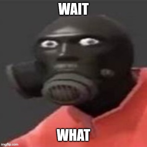 WAIT WHAT | image tagged in disturbed pyro credit to engineer gaming | made w/ Imgflip meme maker