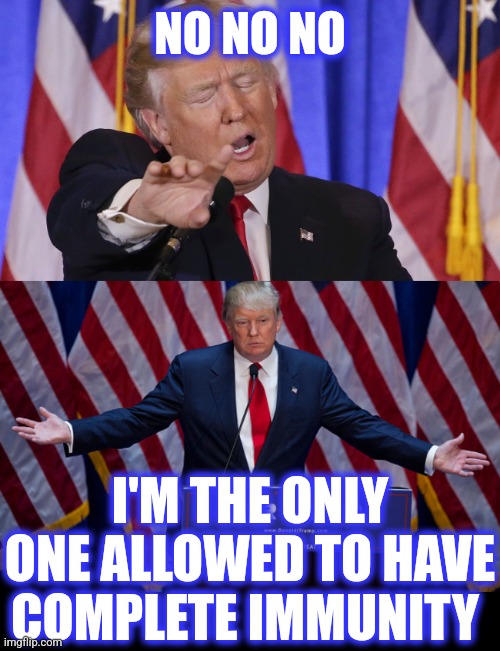 NO NO NO I'M THE ONLY ONE ALLOWED TO HAVE COMPLETE IMMUNITY | image tagged in trump no no no no no,donald trump | made w/ Imgflip meme maker