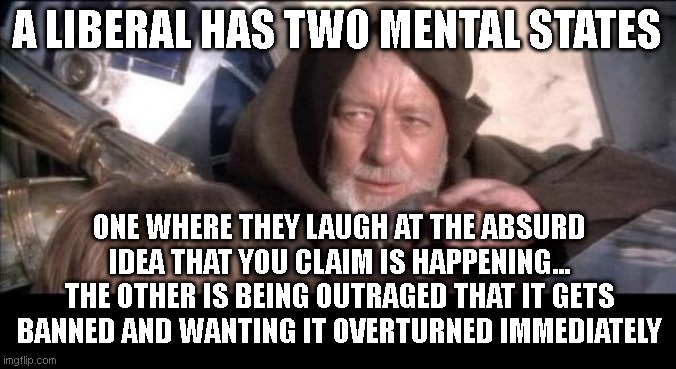These Aren't The Droids You Were Looking For | A LIBERAL HAS TWO MENTAL STATES; ONE WHERE THEY LAUGH AT THE ABSURD IDEA THAT YOU CLAIM IS HAPPENING... THE OTHER IS BEING OUTRAGED THAT IT GETS BANNED AND WANTING IT OVERTURNED IMMEDIATELY | image tagged in memes,these aren't the droids you were looking for | made w/ Imgflip meme maker