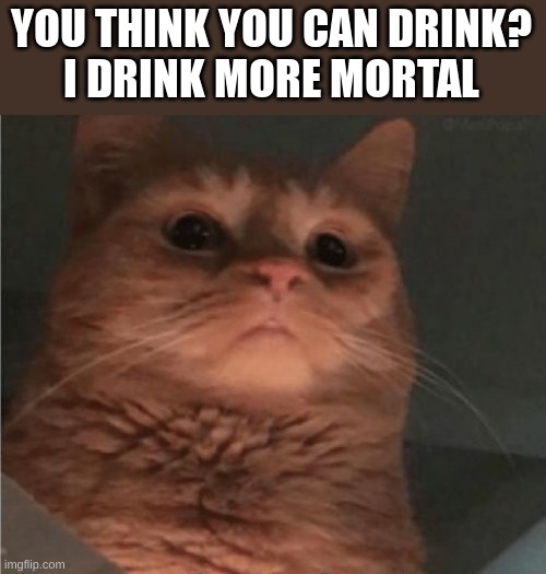 YOU THINK YOU CAN DRINK?
I DRINK MORE MORTAL | made w/ Imgflip meme maker