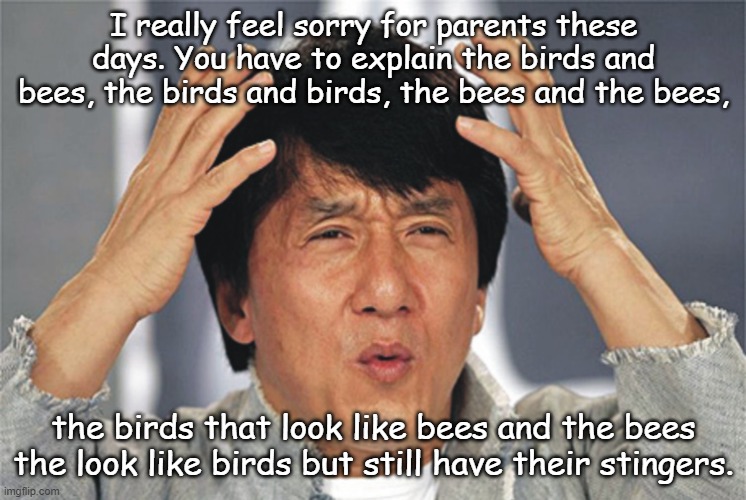 The Birds and the Bees revisited | I really feel sorry for parents these days. You have to explain the birds and bees, the birds and birds, the bees and the bees, the birds that look like bees and the bees the look like birds but still have their stingers. | image tagged in jackie chan confused,the birds and the bees | made w/ Imgflip meme maker