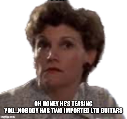 OH HONEY HE’S TEASING YOU…NOBODY HAS TWO IMPORTED LTD GUITARS | made w/ Imgflip meme maker