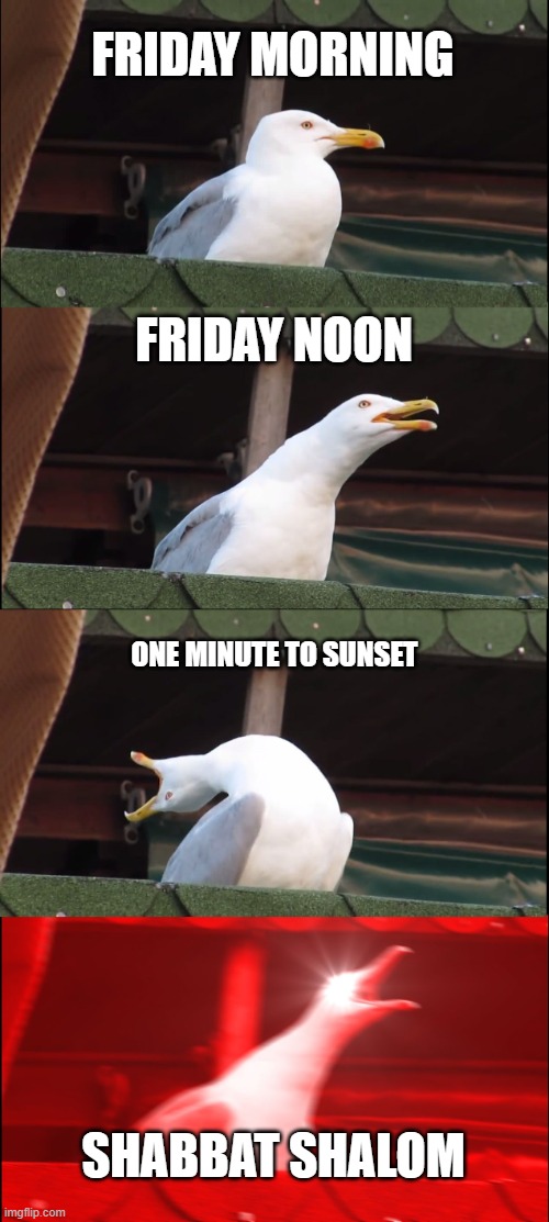 Inhaling Seagull Meme | FRIDAY MORNING; FRIDAY NOON; ONE MINUTE TO SUNSET; SHABBAT SHALOM | image tagged in memes,inhaling seagull | made w/ Imgflip meme maker