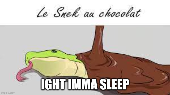 amirmirmirmir | IGHT IMMA SLEEP | image tagged in le snek au chocolat | made w/ Imgflip meme maker