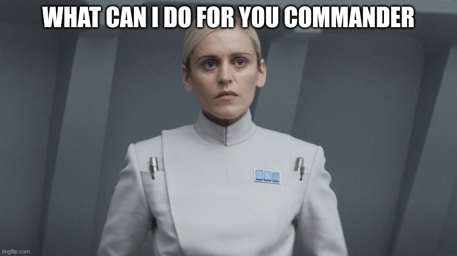 ISB agent | WHAT CAN I DO FOR YOU COMMANDER | image tagged in isb agent | made w/ Imgflip meme maker