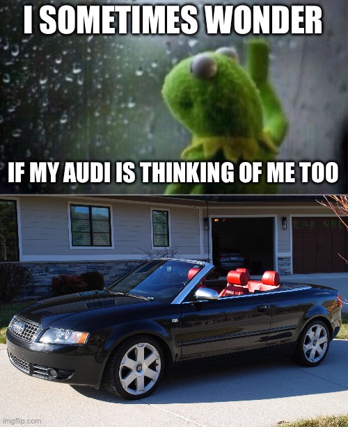 Audi | I SOMETIMES WONDER; IF MY AUDI IS THINKING OF ME TOO | image tagged in kermit rain,audi,thinking | made w/ Imgflip meme maker