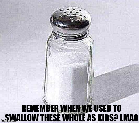 salt shaker | REMEMBER WHEN WE USED TO SWALLOW THESE WHOLE AS KIDS? LMAO | image tagged in salt shaker | made w/ Imgflip meme maker