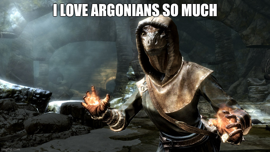 Argonians are my fav (And Khajiits too) | I LOVE ARGONIANS SO MUCH | made w/ Imgflip meme maker
