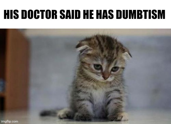 Poor goober | HIS DOCTOR SAID HE HAS DUMBTISM | image tagged in sad kitten | made w/ Imgflip meme maker