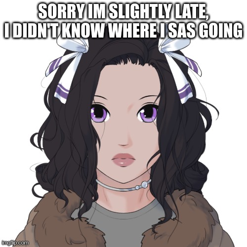 SORRY IM SLIGHTLY LATE, I DIDN'T KNOW WHERE I SAS GOING | made w/ Imgflip meme maker