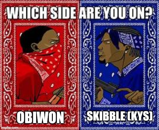 Which side are you on? | SKIBBLE (KYS) OBIWON | image tagged in which side are you on | made w/ Imgflip meme maker