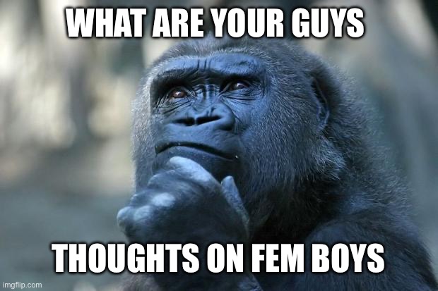 Deep Thoughts | WHAT ARE YOUR GUYS; THOUGHTS ON FEM BOYS | image tagged in deep thoughts | made w/ Imgflip meme maker