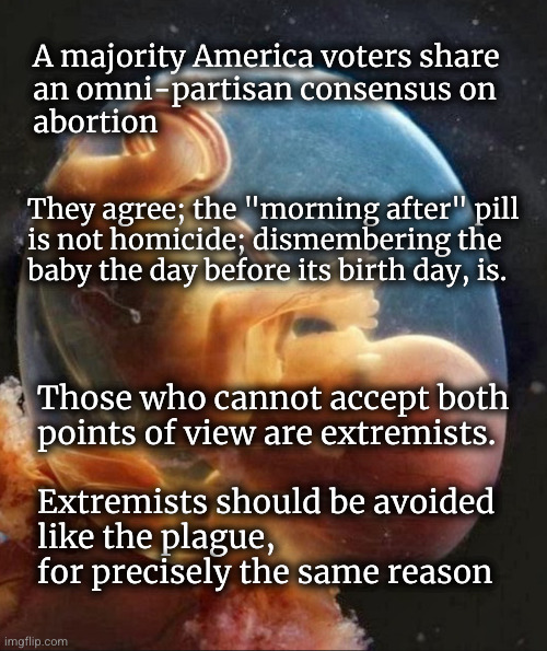 Concensus on abortion | A majority America voters share
an omni-partisan consensus on
abortion; They agree; the "morning after" pill
is not homicide; dismembering the
baby the day before its birth day, is. Those who cannot accept both
points of view are extremists.
 
Extremists should be avoided
like the plague,
for precisely the same reason | image tagged in life begins at conception | made w/ Imgflip meme maker