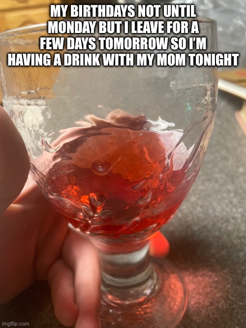 No I’m not 21 or British but I’m on private property this is legal | MY BIRTHDAYS NOT UNTIL MONDAY BUT I LEAVE FOR A FEW DAYS TOMORROW SO I’M HAVING A DRINK WITH MY MOM TONIGHT | made w/ Imgflip meme maker