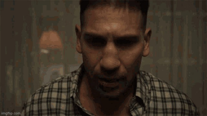 the punisher | image tagged in the punisher | made w/ Imgflip meme maker