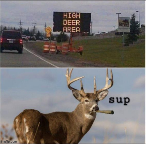 Is this where Santa goes for sleigh team replacements? | image tagged in repost,high deer | made w/ Imgflip meme maker