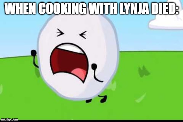 R.I.P Lynja | WHEN COOKING WITH LYNJA DIED: | image tagged in bfdi snowball nooooo | made w/ Imgflip meme maker