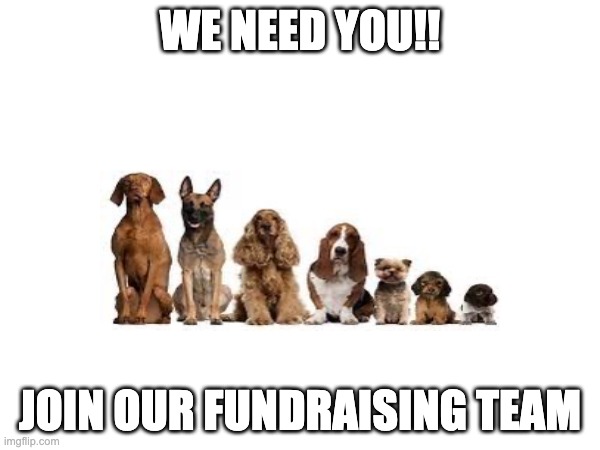 Fundraiser | WE NEED YOU!! JOIN OUR FUNDRAISING TEAM | image tagged in animal meme | made w/ Imgflip meme maker