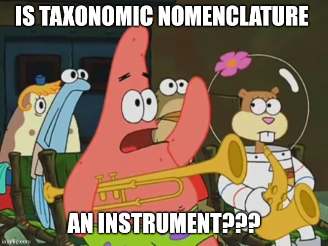 Is taxonomic nomenclature an instrument??? | IS TAXONOMIC NOMENCLATURE; AN INSTRUMENT??? | image tagged in is mayonnaise an instrument | made w/ Imgflip meme maker