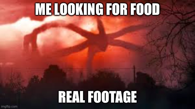 The mind flayer | ME LOOKING FOR FOOD; REAL FOOTAGE | image tagged in the mind flayer | made w/ Imgflip meme maker