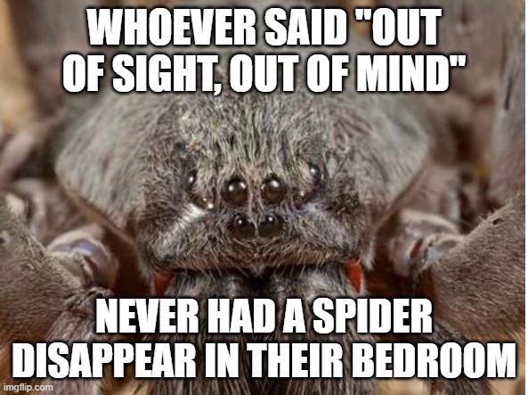 Disappearing spider | WHOEVER SAID "OUT OF SIGHT, OUT OF MIND"; NEVER HAD A SPIDER DISAPPEAR IN THEIR BEDROOM | image tagged in bad spider | made w/ Imgflip meme maker