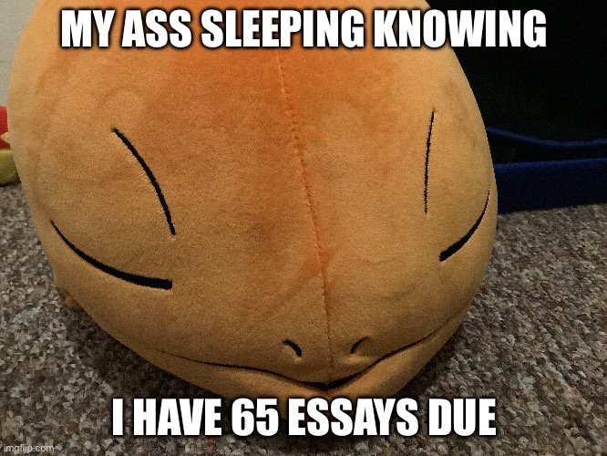 MY ASS SLEEPING KNOWING; I HAVE 65 ESSAYS DUE | made w/ Imgflip meme maker