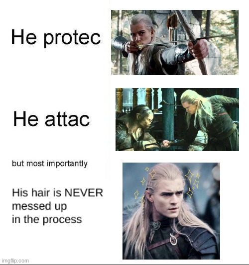 Legolas always has perfect hair | image tagged in he protecc | made w/ Imgflip meme maker