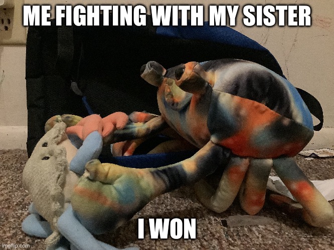 ME FIGHTING WITH MY SISTER; I WON | made w/ Imgflip meme maker